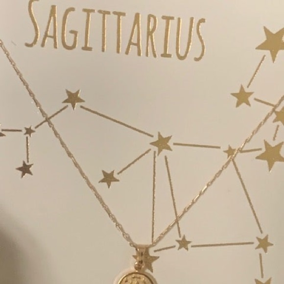 Tiny Zodiac Coin Necklace - Picture 6 of 11